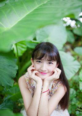 大地资源二免费观看高清版下载